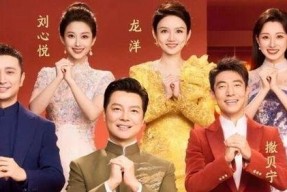 春晚主持人照片