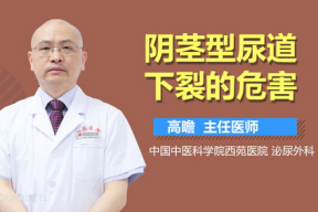 阴下裂图片,阴下裂的形态与成因解析