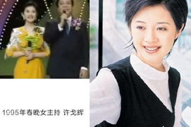 娱乐女主持短发造型,娱乐女主持的新时尚造型解析