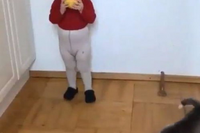 娱乐吃瓜酱拍照小狗狗,娱乐吃瓜酱与小狗狗的甜蜜互动