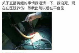 黄鳝女主播正在播放,观众惊呼不已！